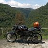 gorgon5830