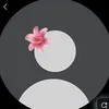nayle_007