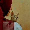 fatema.khan479