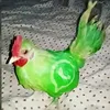muriloty6