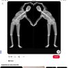 softlwely
