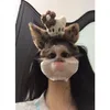 dtthdthw