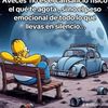 coca.h.s
