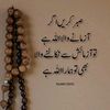 mudassirali5431