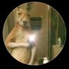 josue_buenfe8