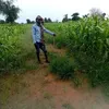 user6000770815361