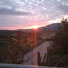 monica.guarisco