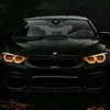 gabri.boss2