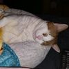 christine.smith53