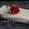 zeeshan9331582792