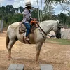 nelcinadossantos4