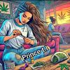 princet.i2