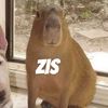 zisproof
