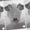 duyengiabao