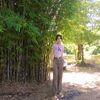 alice_15o2