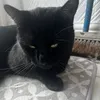 lynn_mp4