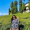 sabu.nepal.devkota