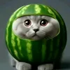 blin.kobum