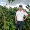 kim.hoang8312