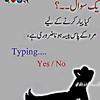 mahar_waseem_044