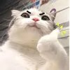 nhunnhun.n