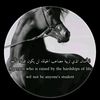 um_zeyad_555