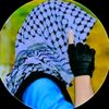zarardawar6