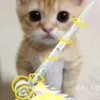 chelsea_76809