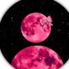 habiba15722
