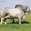 wene598
