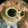 karen.villardo