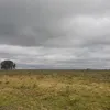 pedroemanuelfaria0
