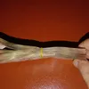 nhat.anh.nguyen.t