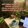 sofiaahmed7881