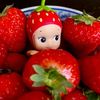 strawberryveil