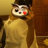6igd4ddy