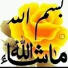 hbzilenidms