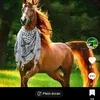 youssef.med007