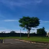 primo25683