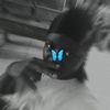 itz.ama.xtylish