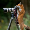 photographer392