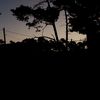 sollolivera_
