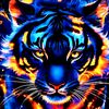 zaid.zitawi8