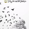 ebrahim.hussien39