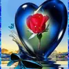 kiran12339