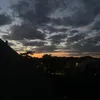 ii_pdxx