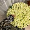 privv___0013