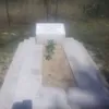 aunbreen28