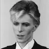 starxbowie