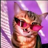 boa_vida6